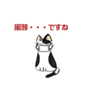 ボテ猫たくとくん（個別スタンプ：12）