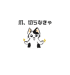 ボテ猫たくとくん（個別スタンプ：16）