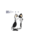 ボテ猫たくとくん（個別スタンプ：20）