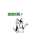 ボテ猫たくとくん（個別スタンプ：21）