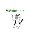 ボテ猫たくとくん（個別スタンプ：23）