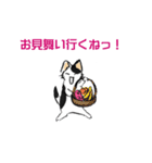 ボテ猫たくとくん（個別スタンプ：24）