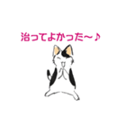 ボテ猫たくとくん（個別スタンプ：27）