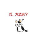 ボテ猫たくとくん（個別スタンプ：31）