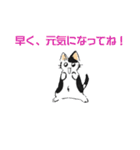 ボテ猫たくとくん（個別スタンプ：32）