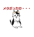 ボテ猫たくとくん（個別スタンプ：33）