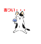 ボテ猫たくとくん（個別スタンプ：34）
