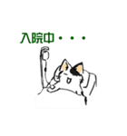 ボテ猫たくとくん（個別スタンプ：36）