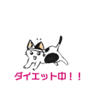 ボテ猫たくとくん（個別スタンプ：37）