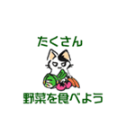 ボテ猫たくとくん（個別スタンプ：38）