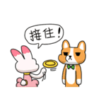 Egg kitty friends not normal Daily life（個別スタンプ：13）