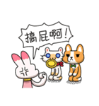 Egg kitty friends not normal Daily life（個別スタンプ：16）