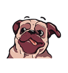 Mr. Pug Zai（個別スタンプ：5）