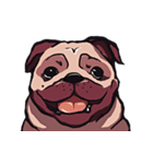 Mr. Pug Zai（個別スタンプ：7）