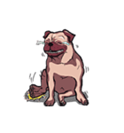 Mr. Pug Zai（個別スタンプ：9）