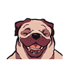 Mr. Pug Zai（個別スタンプ：10）