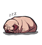 Mr. Pug Zai（個別スタンプ：16）