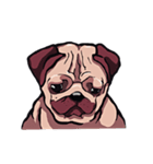 Mr. Pug Zai（個別スタンプ：19）
