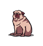 Mr. Pug Zai（個別スタンプ：23）