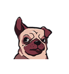 Mr. Pug Zai（個別スタンプ：24）
