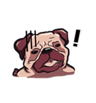 Mr. Pug Zai（個別スタンプ：25）