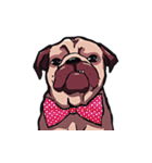 Mr. Pug Zai（個別スタンプ：28）
