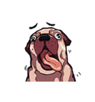 Mr. Pug Zai（個別スタンプ：32）