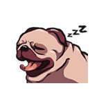 Mr. Pug Zai（個別スタンプ：39）