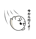 しろいさんとくろいさん5（個別スタンプ：2）