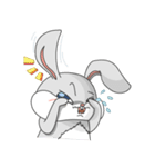 Wilful Bunny（個別スタンプ：19）
