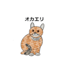 ネコ猫ねこ（個別スタンプ：1）