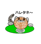 ネコ猫ねこ（個別スタンプ：7）