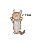 ネコ猫ねこ（個別スタンプ：13）