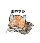 ネコ猫ねこ（個別スタンプ：16）