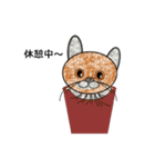 ネコ猫ねこ（個別スタンプ：19）