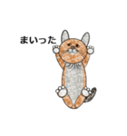 ネコ猫ねこ（個別スタンプ：22）