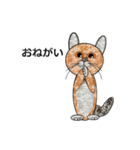 ネコ猫ねこ（個別スタンプ：26）