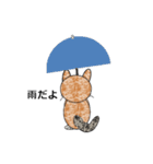 ネコ猫ねこ（個別スタンプ：28）