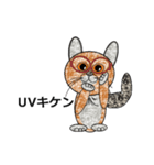 ネコ猫ねこ（個別スタンプ：34）