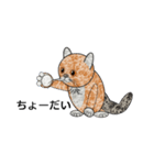 ネコ猫ねこ（個別スタンプ：35）