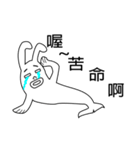 Rabbit＆dolphin hybrid（個別スタンプ：26）