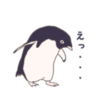 ぎっしりアデリーペンギン（個別スタンプ：8）