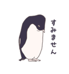 ぎっしりアデリーペンギン（個別スタンプ：17）