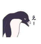 ぎっしりアデリーペンギン（個別スタンプ：18）