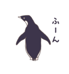 ぎっしりアデリーペンギン（個別スタンプ：20）