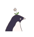 ぎっしりアデリーペンギン（個別スタンプ：31）