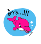 Dolphins and the friends（個別スタンプ：11）
