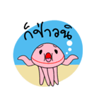 Dolphins and the friends（個別スタンプ：12）