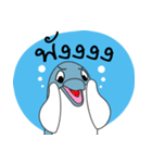 Dolphins and the friends（個別スタンプ：13）