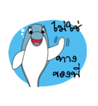 Dolphins and the friends（個別スタンプ：22）